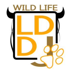 Wild Life
