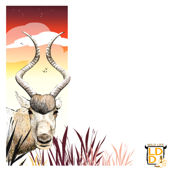 Addax