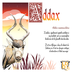 Addax (avec texte)