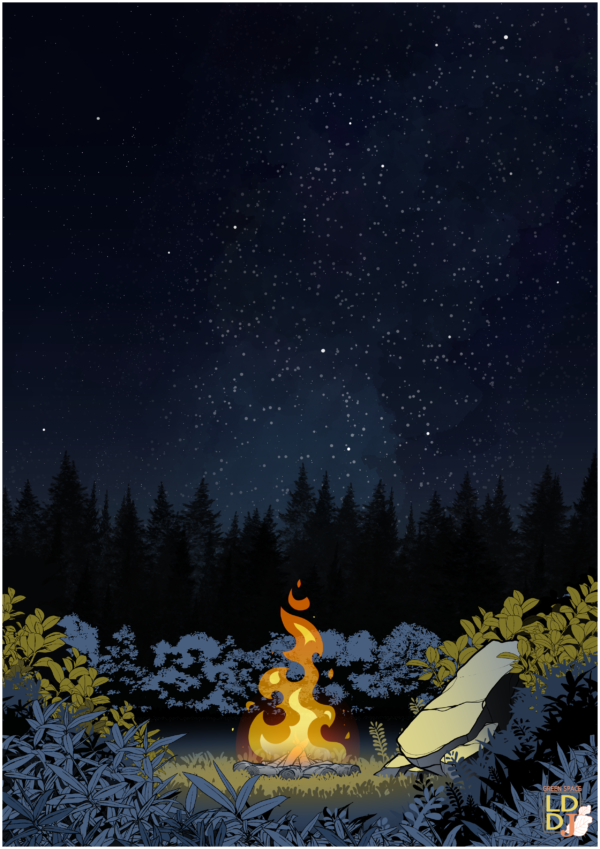 Nuit
