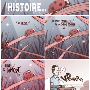 C'est l'histoire de la vie !