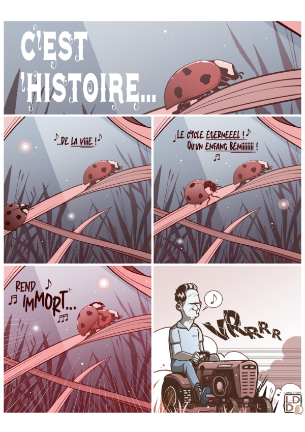 C'est l'histoire de la vie !